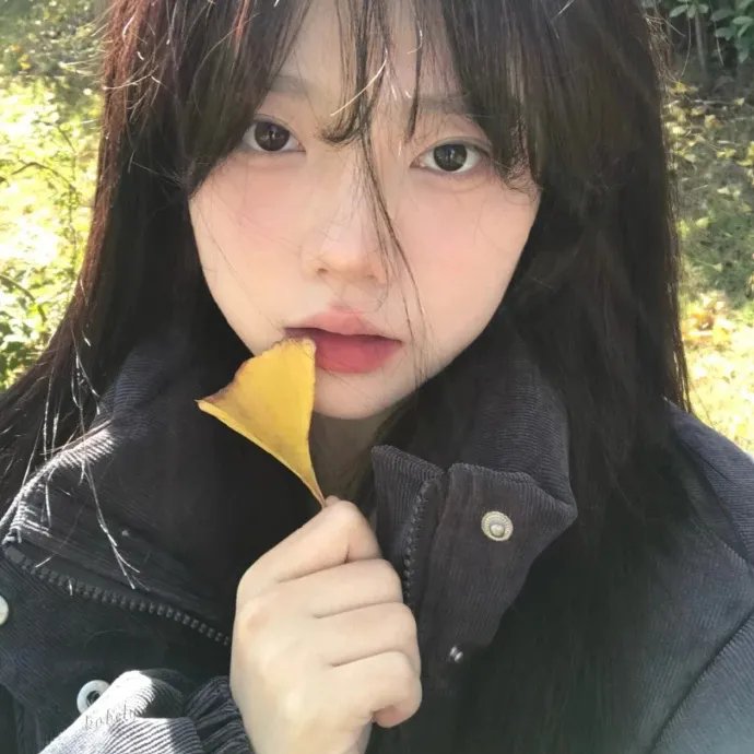 美国派:高潮再起